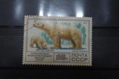 Лот: 3961931. Фото: 1. марка 55 СССР 1977 белый медведь... Марки