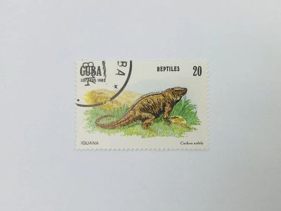 Лот: 23314396. Фото: 1. Рептилии. Кубинская циклура. Фауна... Марки