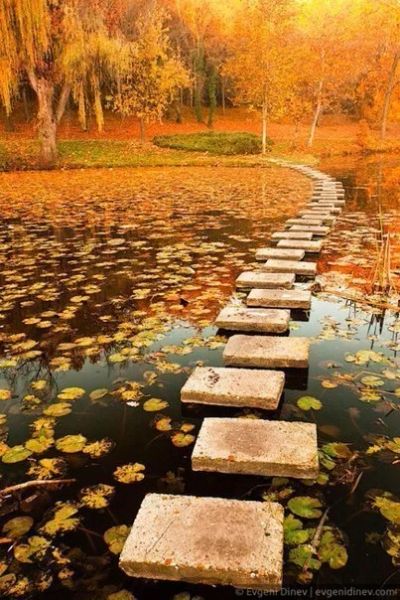 Лот: 6254869. Фото: 1. куплю дачу!. Дачи