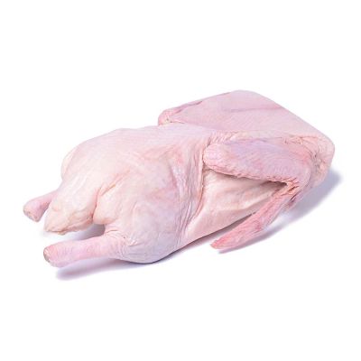 Лот: 10219818. Фото: 1. Продам мясо домашней утки. Мясо, птица, яйцо