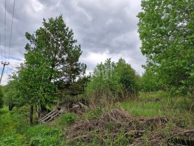 Лот: 25294775. Фото: 1. участок , массив Манская Гора... Земельные участки
