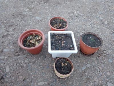 Лот: 15750846. Фото: 1. Горшки цветочные. Кашпо, горшки, вазоны для цветов