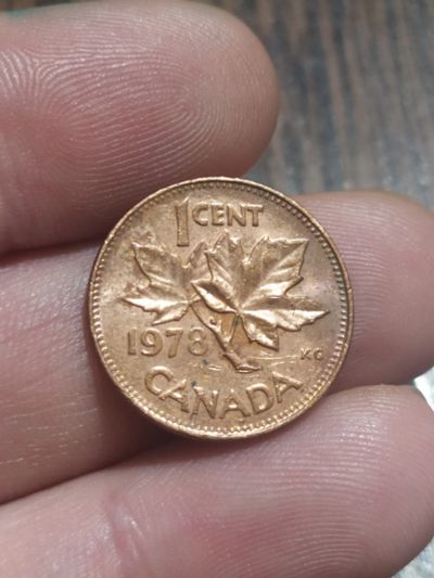 Лот: 18899612. Фото: 1. Канада . 1 цент. 1980г. Америка
