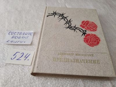 Лот: 19377554. Фото: 1. Житинский А.Н. Предназначение... Мемуары, биографии