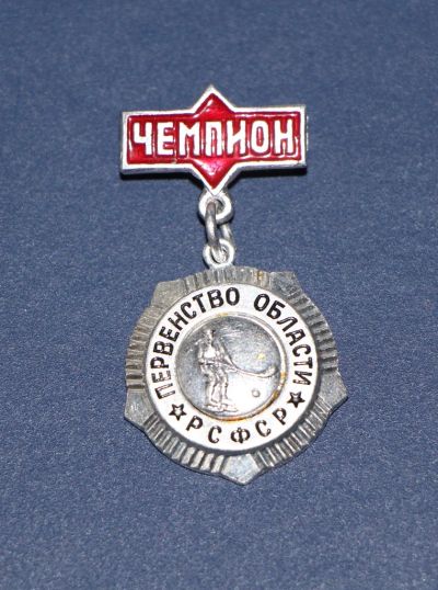 Лот: 3079716. Фото: 1. Первенство области РСФСР. Хоккей... Памятные медали