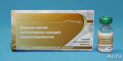 Лот: 17592783. Фото: 1. Вакцина против лептоспироза лошадей... Лекарства для животных, ветеринарные препараты
