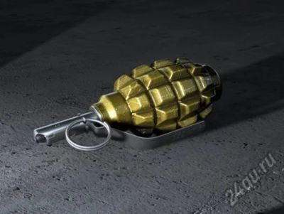 Лот: 5666143. Фото: 1. макет гранаты ф-1. Другое (военно-спортивные игры)