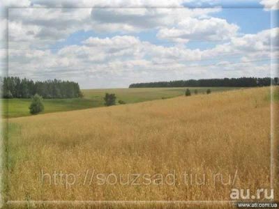 Лот: 8570181. Фото: 1. земельный пай. Земельные участки