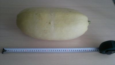 Лот: 4479983. Фото: 1. Кабачки 5. Овощи, фрукты, зелень
