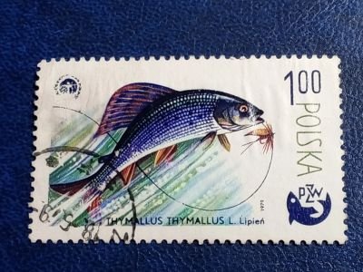 Лот: 25896478. Фото: 1. Марки Флоры и Фауны. лот №- 77004. Марки