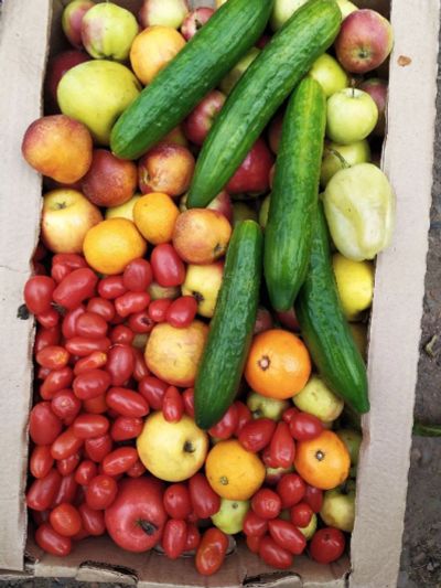 Лот: 16280090. Фото: 1. Лот №5, фрукты и овощи на переработку. Овощи, фрукты, зелень