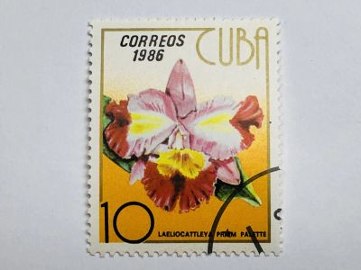 Лот: 23316648. Фото: 1. Растения. Цветы. Орхидеи. 10 сентаво... Марки