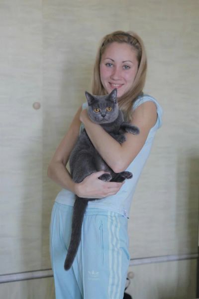Лот: 3058148. Фото: 1. Отдам в хорошие руки британку. Кошки, котята