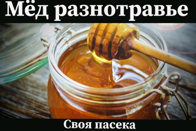 Лот: 14463481. Фото: 1. Мед. Мёд, продукты пчеловодства