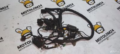 Лот: 23319022. Фото: 1. Проводка коса Kawasaki TDM 850... Запчасти