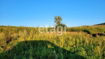 Лот: 25293605. Фото: 1. участок , село Зыково село Зыково... Земельные участки