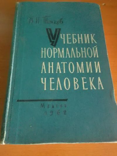 Лот: 21068124. Фото: 1. Учебник нормальной анатомии человека... Традиционная медицина