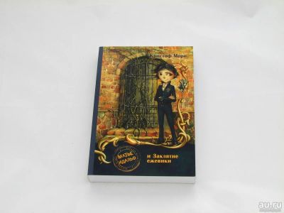 Лот: 9427813. Фото: 1. Матье Идальф и Заклятье ежевики. Художественная для детей