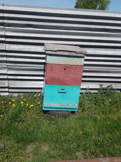 Лот: 14229208. Фото: 1. Ульи для пчел. Пчеловодство