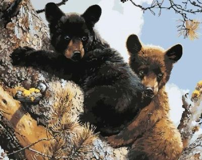 Лот: 12609218. Фото: 1. "Медвежата" раскраска по номерам... Картины по номерам