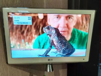 Лот: 16204328. Фото: 1. Телевизор LG 22" белый. Телевизоры