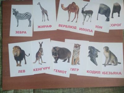 Лот: 18881910. Фото: 1. Обучающие карточки "Профессии". Развивающие
