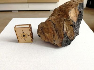Лот: 13433146. Фото: 1. Природный камень "Окаменелое дерево... Грунты, украшения, наполнения