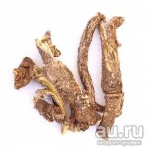 Лот: 16777169. Фото: 1. Вздутоплодник сибирский (лат... Народная медицина, БАДы