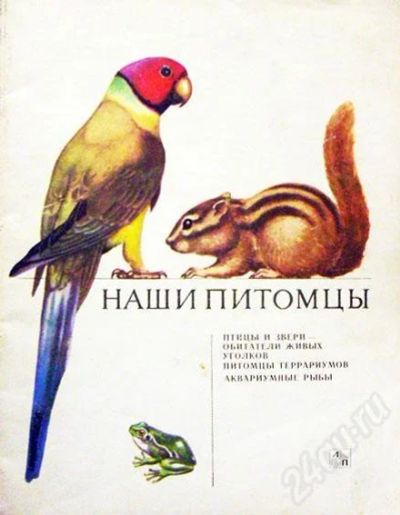 Лот: 234005. Фото: 1. Гусев В.Г. "Наши питомцы. Птицы... Художественная