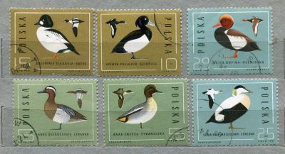 Лот: 7242815. Фото: 1. 1985 Польша Утки Птицы Фауна Полная... Марки