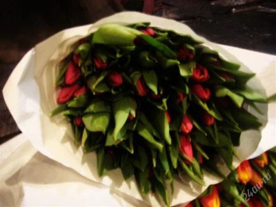 Лот: 2572784. Фото: 1. Тюльпаны спешите!!. Разное