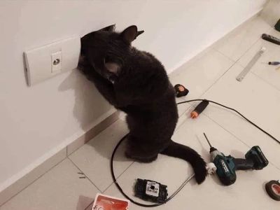 Лот: 23602875. Фото: 1. Электромонтажные работы. Услуги электрика