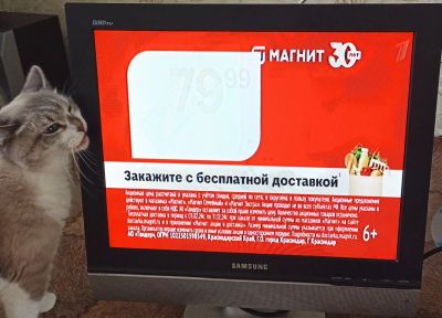 Лот: 23228645. Фото: 1. Телевизор Samsung LW20M21C. Телевизоры