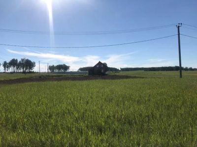 Лот: 13949707. Фото: 1. участок. Земельные участки