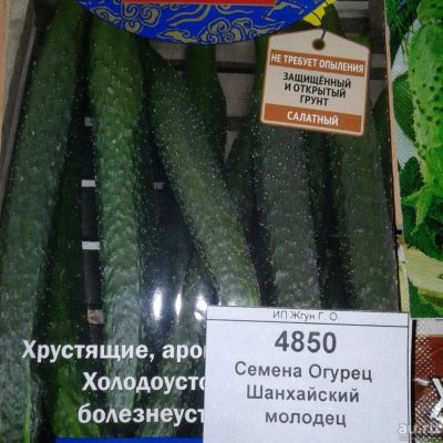 Лот: 9122643. Фото: 1. Семена / овощи / Огурец / Шанхайский... Овощи