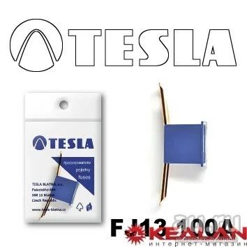 Лот: 8599095. Фото: 1. TESLA FJ13 100A предохранитель... Расходные материалы