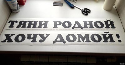 Лот: 17673743. Фото: 1. Наклейка на авто (грузовик) "Тяни... Детали тюнинга