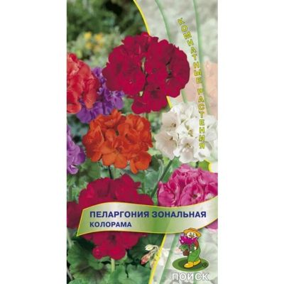 Лот: 24108102. Фото: 1. Семена Цветы, Пеларгония, Зональная... Другое (семена, рассада, садовые растения)