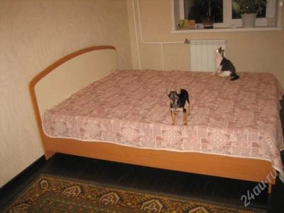 Лот: 995429. Фото: 1. двухспальняя кровать. Шкафы, шкафы-купе