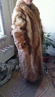 Лот: 4368954. Фото: 1. шуба собака. Верхняя одежда