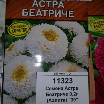 Лот: 9111005. Фото: 1. Семена / цветы / Астра / Беатриче... Садовые цветы