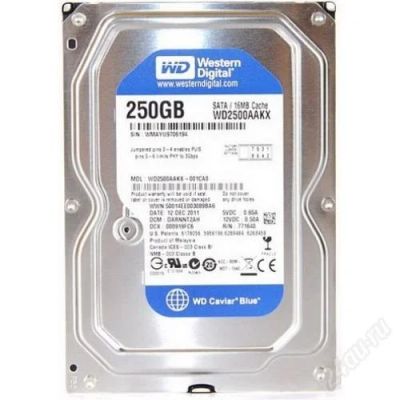 Лот: 2915725. Фото: 1. Жесткий диск Western Digital Caviar... Жёсткие диски (HDD)