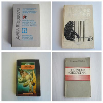 Лот: 15921385. Фото: 1. Психология,сексология. Цена за... Другое (литература, книги)