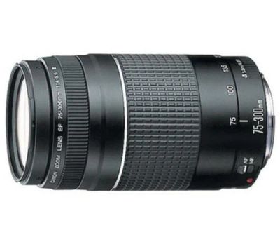 Лот: 5948777. Фото: 1. Canon EF 75-300mm f/4-5.6 III... Объективы