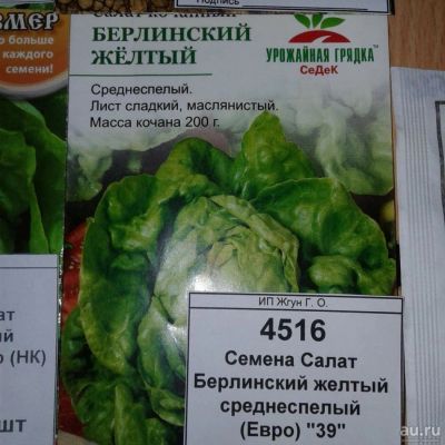 Лот: 9124861. Фото: 1. Семена / Салат / Берлинский... Пряные, лекарственные растения и зелень