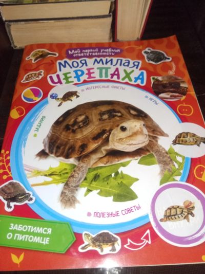 Лот: 17793684. Фото: 1. Книжка о содержании черепахи. Познавательная литература