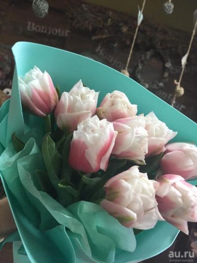 Лот: 13295360. Фото: 1. ПИОНовидные Тюльпаны - нежность... Свежие цветы