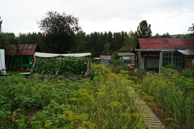 Лот: 7369635. Фото: 1. Дача с баней на ст.Еловка. Дачи