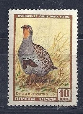 Лот: 1217994. Фото: 1. 1957 (1906) фауна Куропатка нпс. Марки