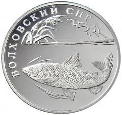 Лот: 10761417. Фото: 1. 1 рубль 2005 волховский сиг. Россия после 1991 года